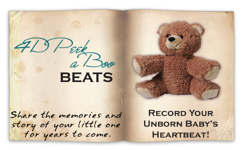 heartbeat bears